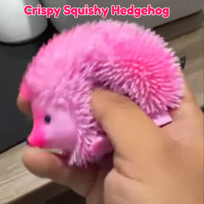 Novelty Gifts - Knapperige, zachte, handgemaakte egelballen, fidget toys,